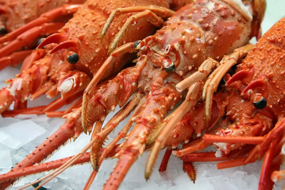 Langoustines près de Nuits-Saint-Georges
