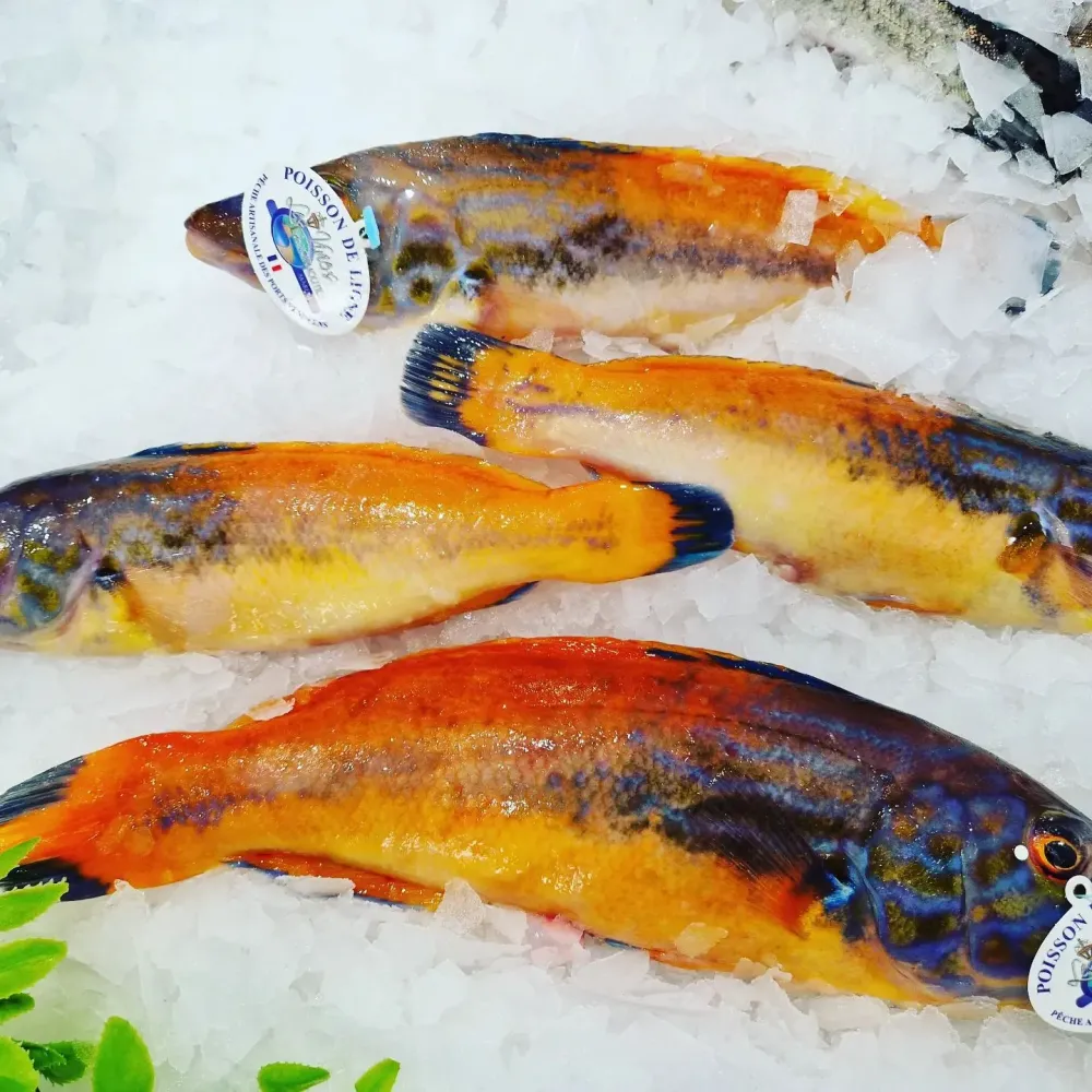La côte sauvage - poissonnerie (1)webp