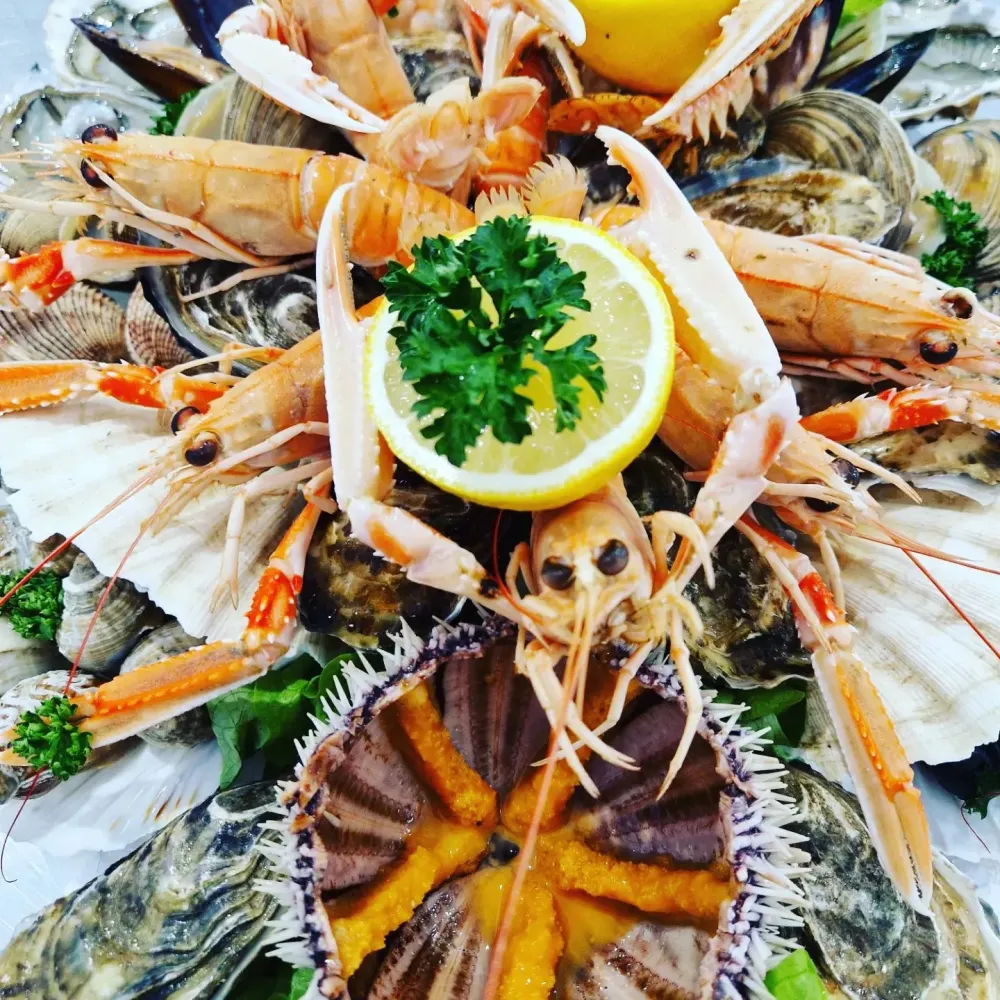 La côte sauvage - poissonnerie (7)webp