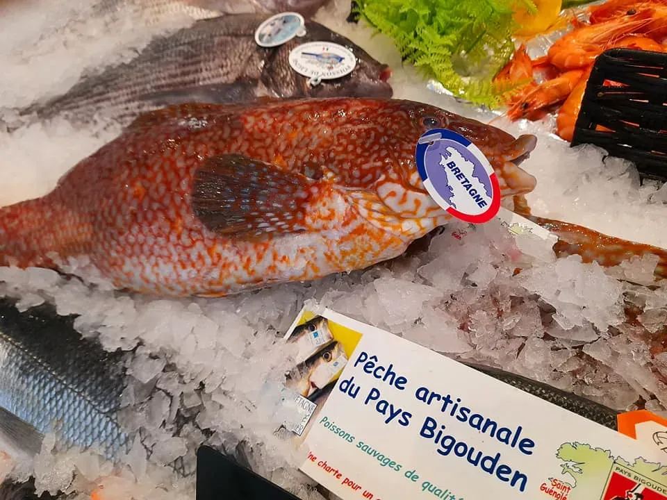La côte sauvage - poissonnerie (9)webp