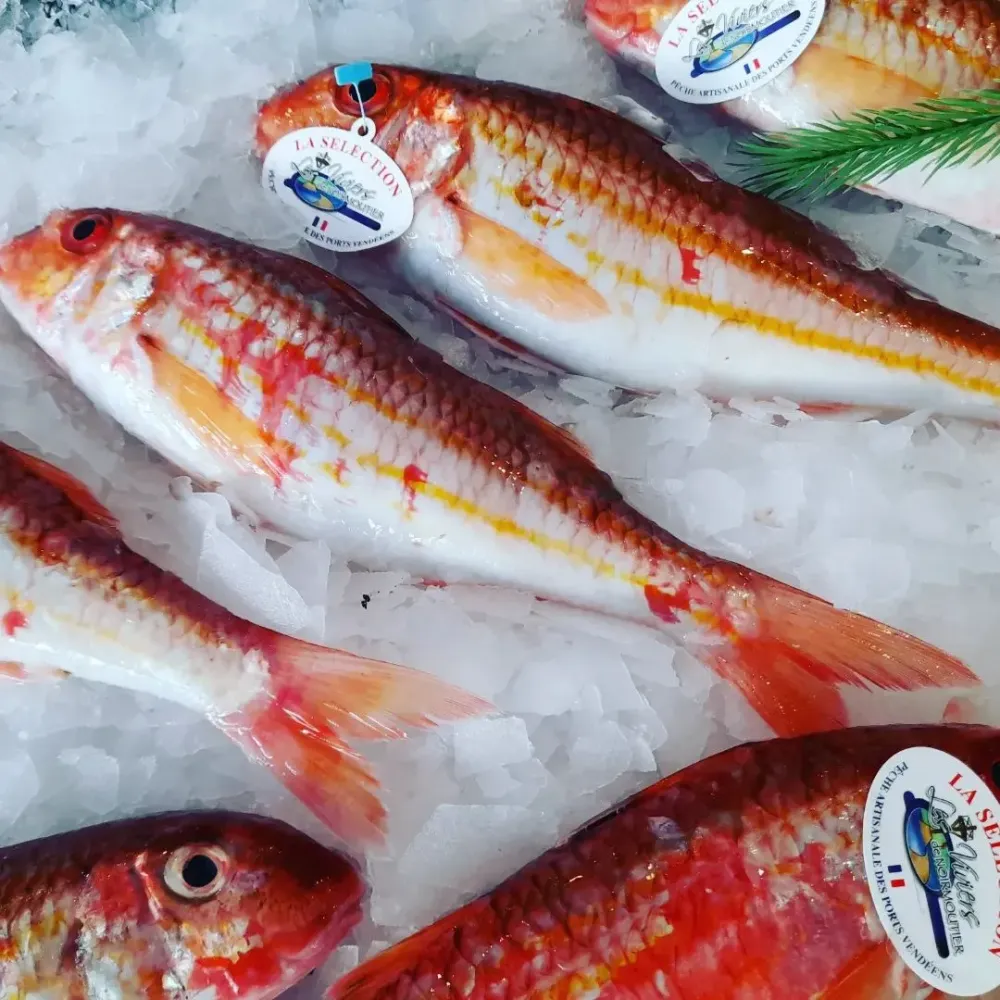 La côte sauvage - poissonnerie (10)webp