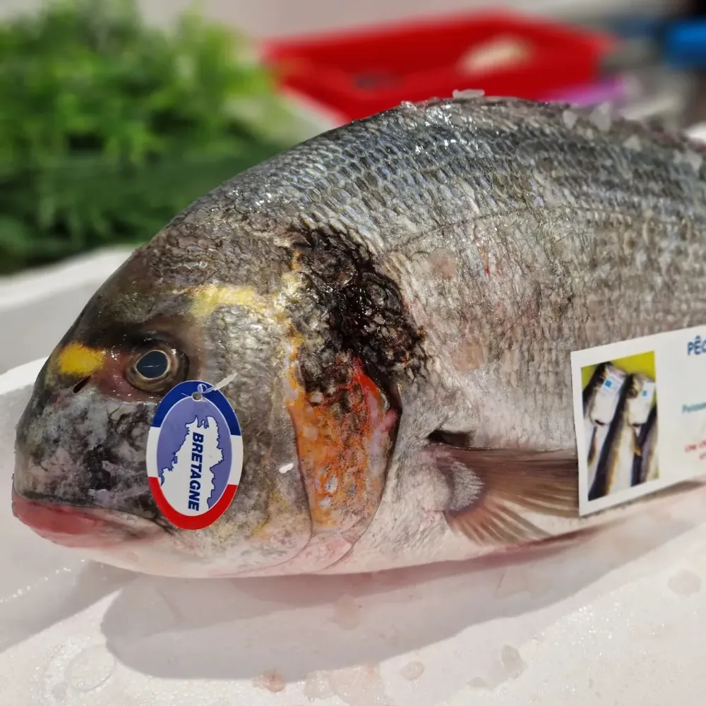 La côte sauvage - poissonnerie (14)webp