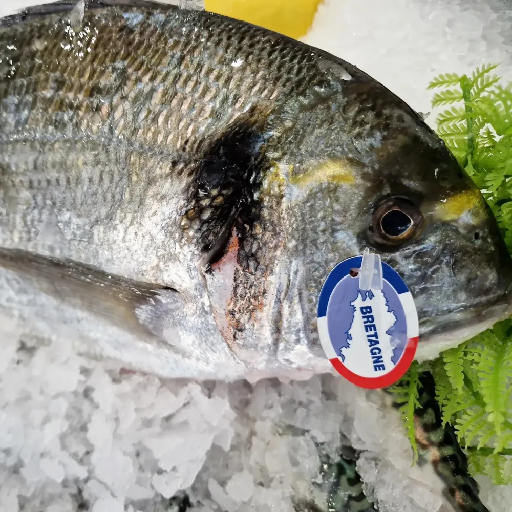 La côte sauvage - poissonnerie (15)webp