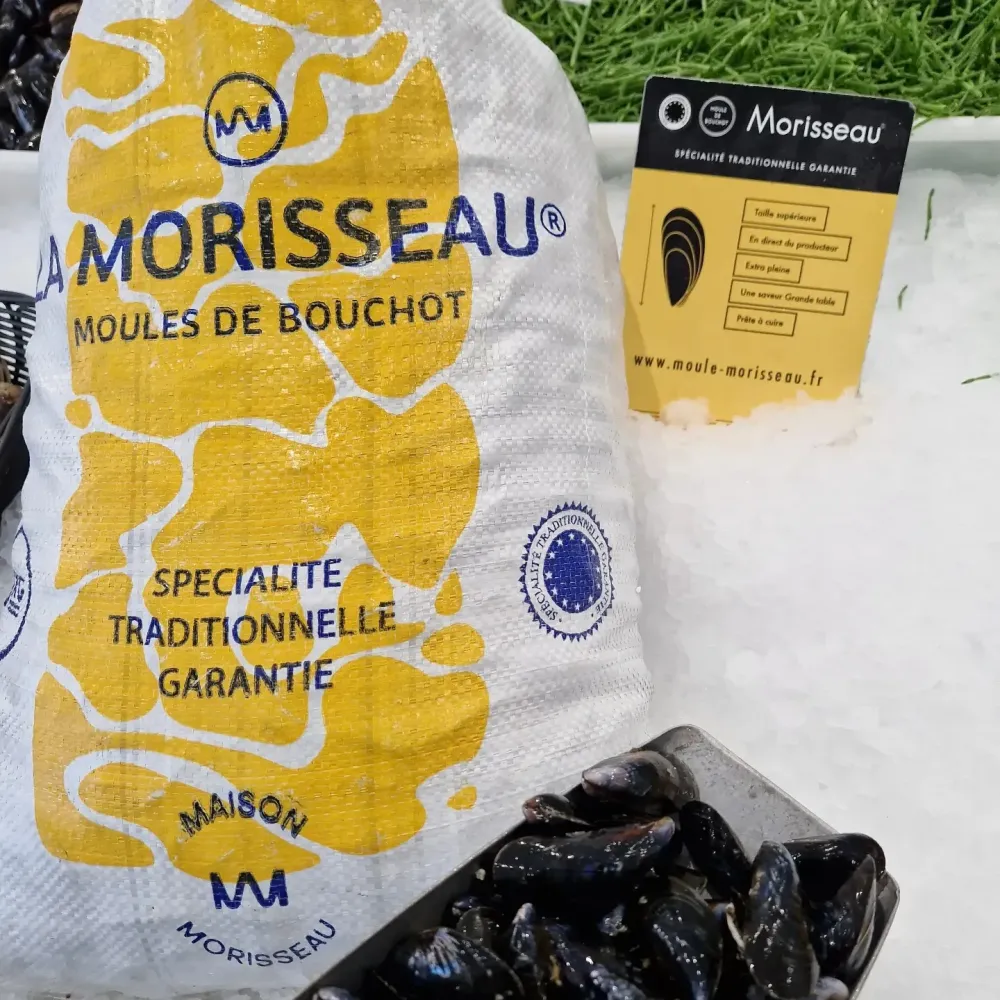 La côte sauvage - poissonnerie (16)webp