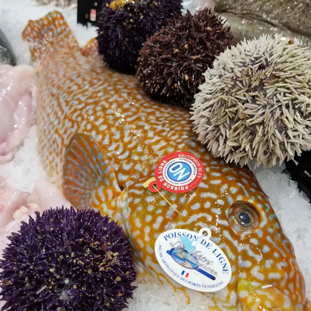 La côte sauvage - poissonnerie (18)webp