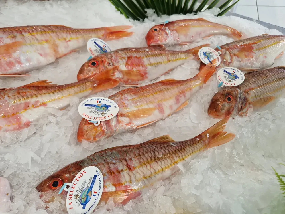 La côte sauvage - poissonnerie (20)webp